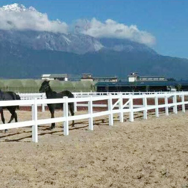 Racecource Fence