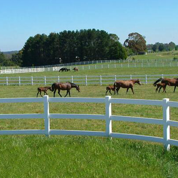 Racecource Fence