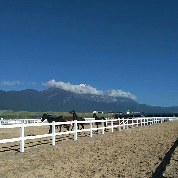 Racecource Fence